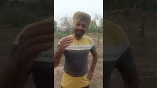 #ਚਾਹ ਵਿੱਚ ਮੱਖੀ ਵਾਲਾ ਕੰਮ #Dharma Dhaner#viral#video#shortvideo#public#punjabi