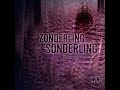 sonderling radio edit