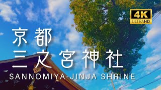 【京都の神社】 三之宮神社 ｜ Sannomiya-jinja Shrine 【Shrines in Kyoto】