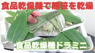 食品乾燥機で熊笹を乾燥