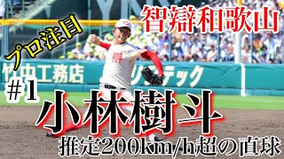 【智辯和歌山】小林樹斗 推定200km/h超のストレート！｢プロ注目｣