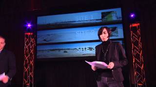 TEDxPittsburgh - Elizabeth Monoian and Robert Ferry - Art and Energy