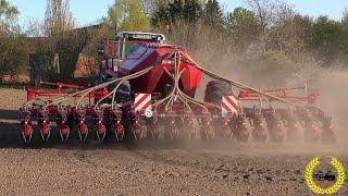 Mais Legen / Horsch Maestro 18.50 SW / Fendt 936 Vario / LU Barkmann / Original Sound