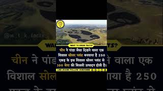 Panda shape solar plant in China.#shorts #upsc #viral #trending #subscribers #like #share #ips