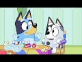 🔴 VIVRE: La cousine s'amuse avec Bluey | Bluey