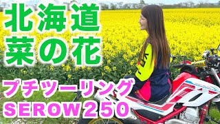 【北海道】バイク女子が菜の花を見にセロー250でプチツーリング【モトブログ】