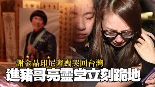 謝金晶印尼奔喪哭回台灣 進豬哥亮靈堂立刻跪地 | 台灣蘋果日報