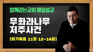 마가복음 11장 12~14절 [무화과나무 저주 사건] - 함께걷는교회/매일성경/매일설교/유정훈목사