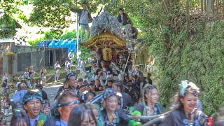 2024.7.28 太子町 山田【大道町】 だんじり 宮入り 科長神社 夏祭り