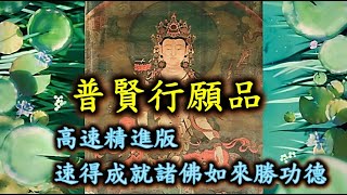 大方廣佛華嚴經《普賢行願品》高速精進修持版:適合想要精進誦持經典者，也適合下班後勞累的您，透過耳聞心行的方式加以誦持!。 盡形壽一心修持，普賢十大願王者，往生將於勝蓮華生《極樂世界》，面見彼佛阿彌陀。