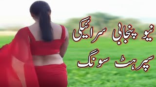 Saraiki Punjabi Song 2022 | New Punjabi Song | Ameer Naizi | Sanam 4k
