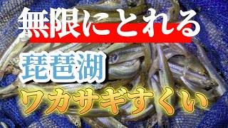 琵琶湖の冬の風物詩、ワカサギすくいに初挑戦！