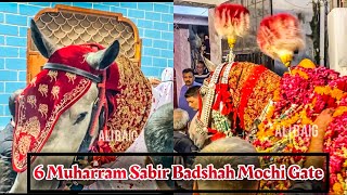 6 Muharram | Zuljanah Sabir Badshah Mochi Gate Lahore 2024-1446 #zuljanah #zuljanahvideos #zuljinah