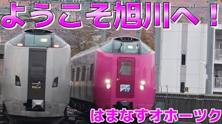 旭川にやってきた！特急オホーツク1号 はまなす編成