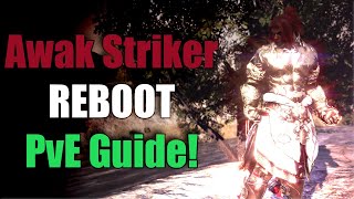 Striker REBOOT Ultimate PvE Guide | Black Desert Online