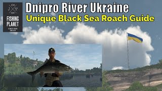 Fishing Planet, Dnipro River Ukraine, Unique Black Sea Roach Guide