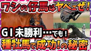 【ウマ娘 競馬】そんなことある？「G1未勝利なのに！種牡馬で大成功した馬」5選！【ゆっくり解説】