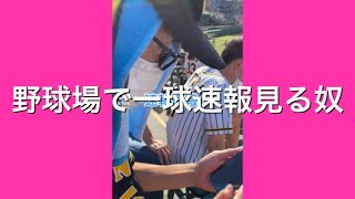 野球場で一球速報見る奴