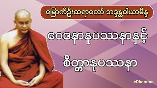 မြောက်ဦးဆရာတော် ဘဒ္ဒန္တဝါယာမိန္ဒ - ဝေဒနာနုပဿနာနှင့် စိတ္တာနုပဿနာ တရားတော်