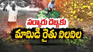 మామిడి రైతును నిండా ముంచిన వైకాపా సర్కారు | Govt Decisions Mango Farmers Loss | Across State