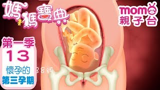 媽媽寶典 S1【懷孕的第三孕期】第1季 第13集｜嬰幼兒發展、活動、飲食、醫療篇｜新手爸媽｜孩子教養｜醫師、營養師分享｜兒童電視節目【momo_親子台｜官方HD電視頻道 完整版】momokids