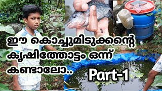 ഈ ആറാം ക്ലാസുകാരന്റെ കൃഷിത്തോട്ടം ഒന്ന് കണ്ടാലോ /Meet the little farmer