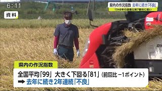 水稲の作況指数81 佐賀は2年連続「不良」台風や病害虫影響 (20/12/09 18:49)