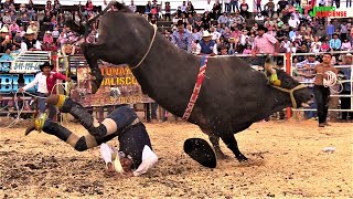 ¡RECOPILACION DEL 2021! SELECCION DE PORRAZOS EN EL JARIPEO