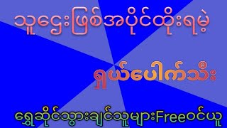 သူဌေးဖြစ်အပိုင်အောထိုးရမဲ့ ရှယ်မိန်းကွက် တစ်ပတ်အတွင်း💯💯💯