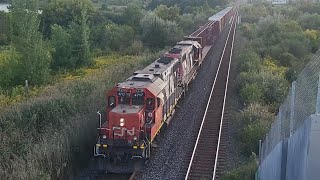 ZEBRAS! CN 4717 at Brampton (SEP 17/24)