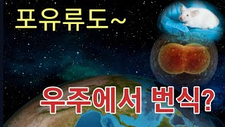 우주의 극한 환경에서 포유류도 번식할 수 있을까?(우주환경,우주 진공,배아세포,포유류 번식)