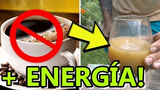 No Tomo MÁS CAFÉ! Ahora USO ESTAS PLANTAS Para TENER Más ENERGÍA y VITALIDAD ⚡️☄️