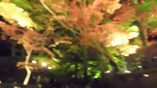 夜の紅葉狩りドライブ／松雲山荘（柏崎市）