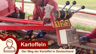 Kartoffelernte 2021 - vom legen bis zur Ernte - John Deere - Grimme