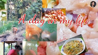 A day in my life/vlog sinhala/ 🥣vegetable \u0026 chicken soup recipe/Sri Lanka 🇱🇰