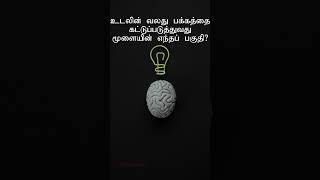 உடலின் வலது பக்கத்தை கட்டுப்படுத்துவது மூளையின் எந்தப்பகுதி?Which part of the brain controls the rig