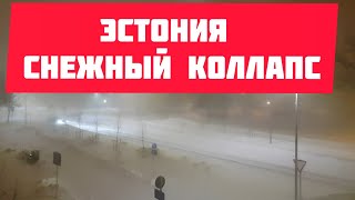 Эстония. Снежный коллапс! Нас засыпает и засыпает снегом.