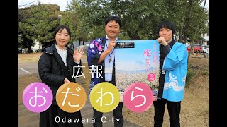 2024年1月22日から1月28日放送分「第54回 小田原梅まつり」「小田原駅西口地区の取り組み【再放送】」