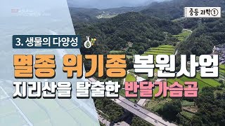 [중등 과학 1] 3. 생물의 다양성 - 멸종 위기종 복원사업 지리산을 탈출한 반달가슴곰