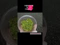 unique style moong dal recipe moong with spring onion recipe shorts viral video 😋