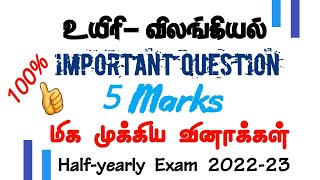 12thஉயிரி-விலங்கியல் BIO-ZOOLOGY Important 5marks Questions|full Portion|Halfyearly 2022-23