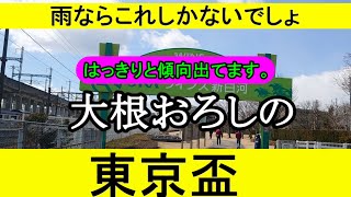 【競馬予想】東京盃2023をデータから徹底予想【大根おろし】