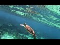 belize under 3 minutes cinematic travel video