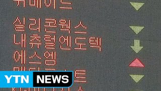 가짜 백수오 논란 회사 주가 또 하한가 / YTN