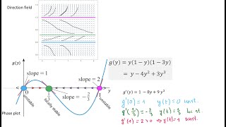 Equilibrium solutions of y'=y(1-y)(1-3y)