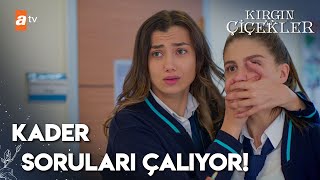 Kader sınav sorularını çalıyor! | Kırgın Çiçekler