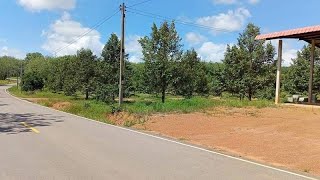 สวนทุเรียนติดถนนลาดยาง🏡พร้อมให้ผลผลิต