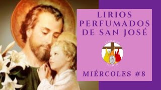 MIÉRCOLES # 8 | LIRIOS PERFUMADOS DE SAN JOSÉ | \