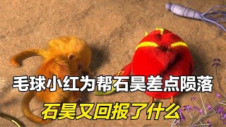 完美世界：毛球与小红为帮石昊差点陨落，石昊又回报了他们什么？