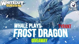 Whiteout Survival Whale Frostdragon Tyrant Event Top 40 + Giveaway ❄️⚔️ 화이트아웃 서바이벌 구독자 이벤트